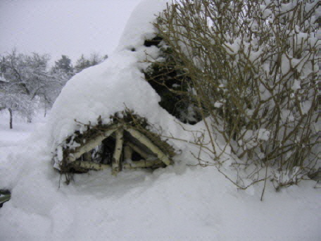 Vogelfutterstelle im Winter