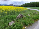 Fernblick auf Stolpen